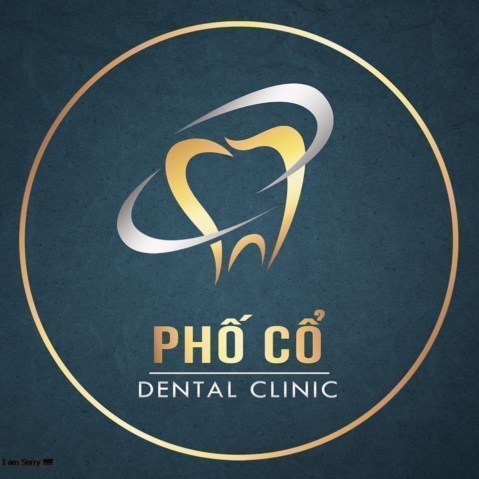lĩnh vực hoạt động